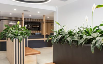 General Practice Fees